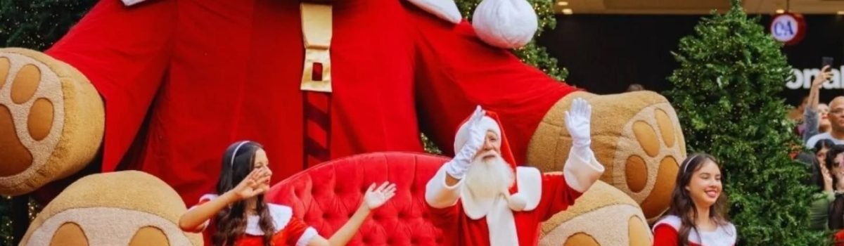 WhatsApp Image 2025-11-14 at 16.33.20